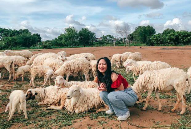Top 8 địa điểm du lịch Vũng Tàu - Đồng Cừu Suối Nghệ